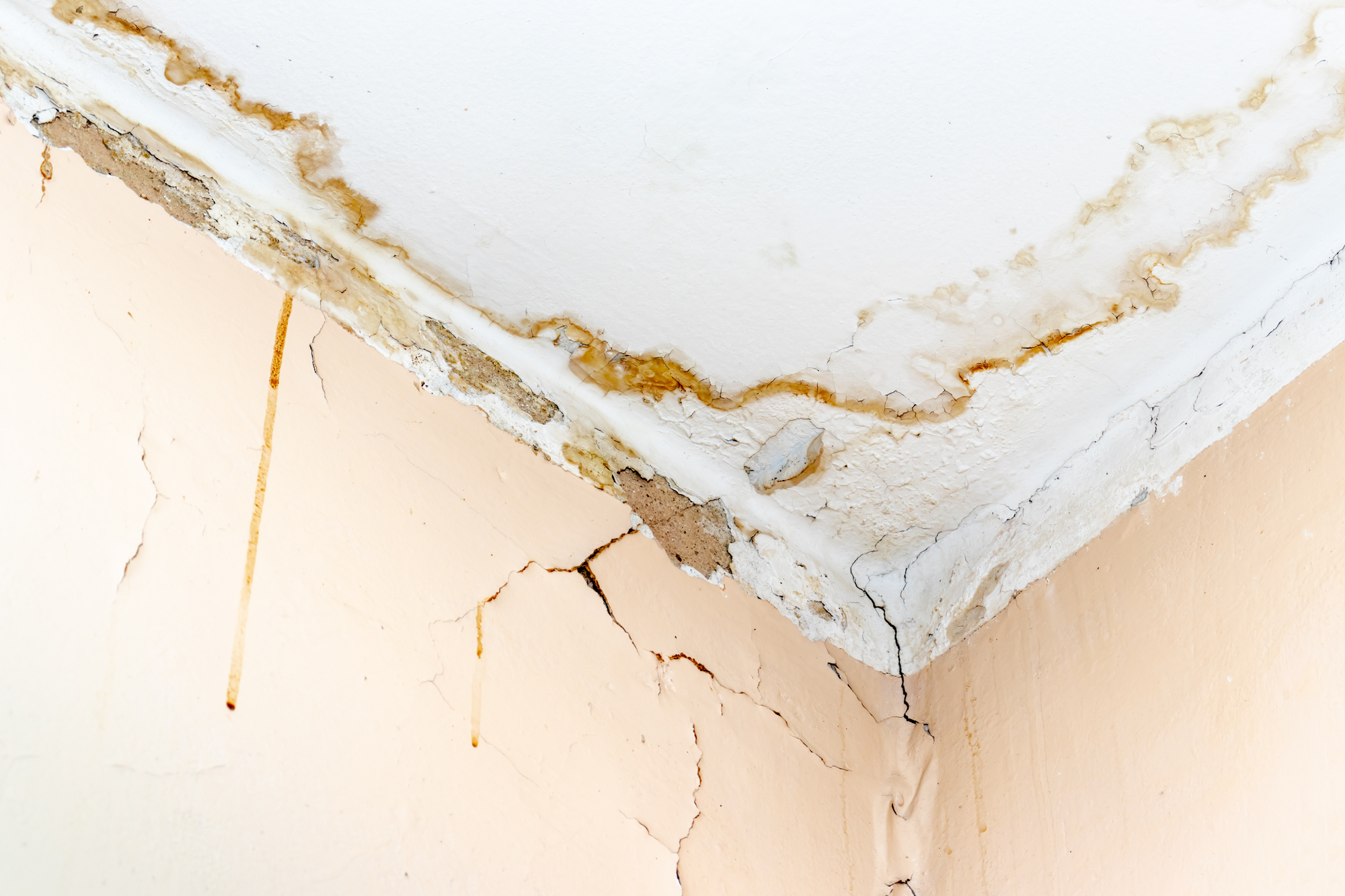 Water Damage remediation services Madisonville