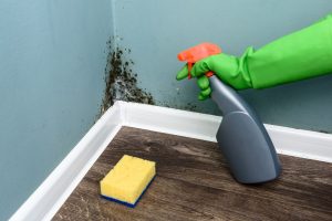 New Orleans odor removal service